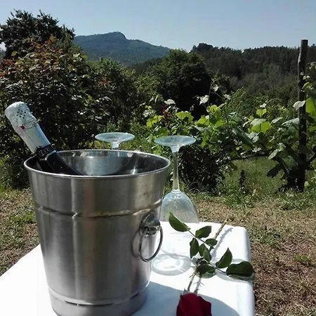 Farmház Podere Asche