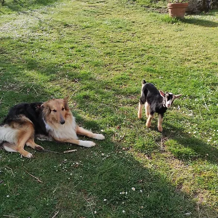 Podere Asche Farmház