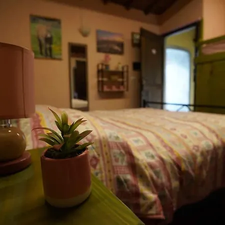Farm stay Podere Asche *