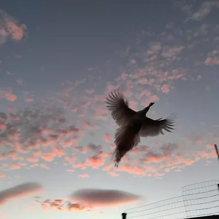 Farma Podere Asche Santa Fiora