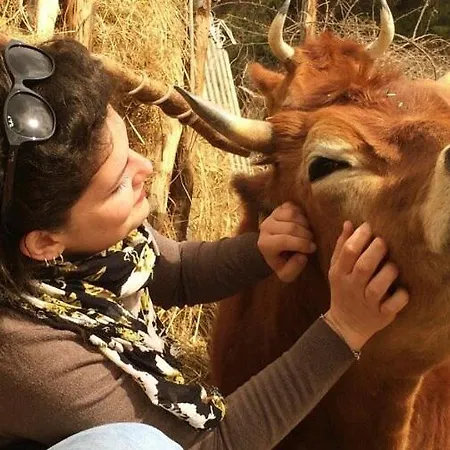 Podere Asche Alojamento de Turismo Rural Santa Fiora