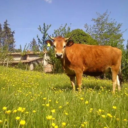 Podere Asche Farma Santa Fiora