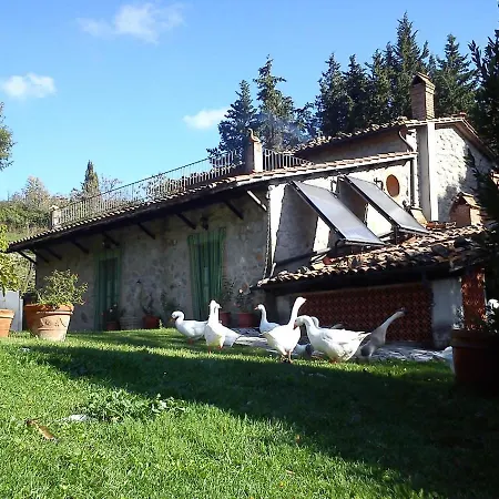 Podere Asche