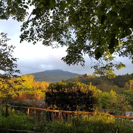 Podere Asche Farma *