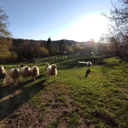 Podere Asche Farma Santa Fiora
