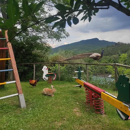 Farm stay Podere Asche *